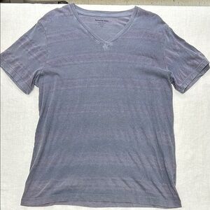 Men's Heathered Blue V-Neck T-Shirt